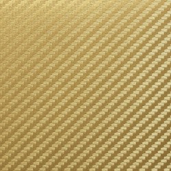 Isee2 50.980 ACT Carbon Fiber Gold š.152cm