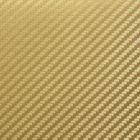 Isee2 50.980 ACT Carbon Fiber Gold š.152cm