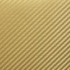 Isee2 50.980 ACT Carbon Fiber Gold š.152cm